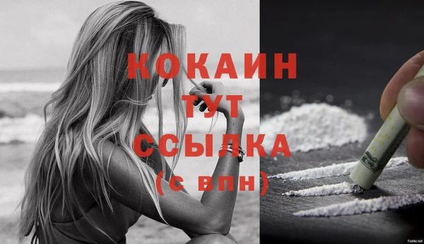 бошки Гусев