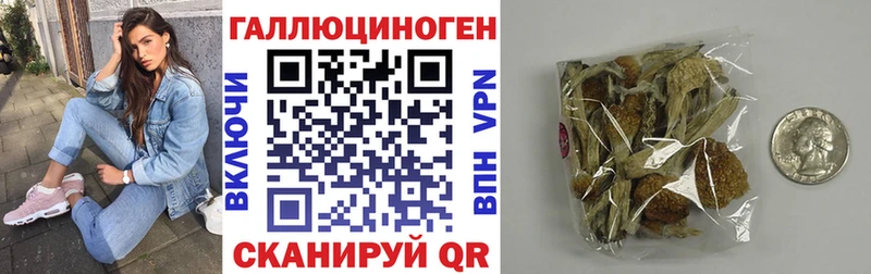 Галлюциногенные грибы GOLDEN TEACHER  дарк нет как зайти  Орск  цена  
